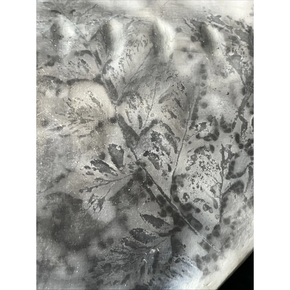Native American Handmade Plaster Horse Hair Botanical Pressed Plants‎ Vessel
